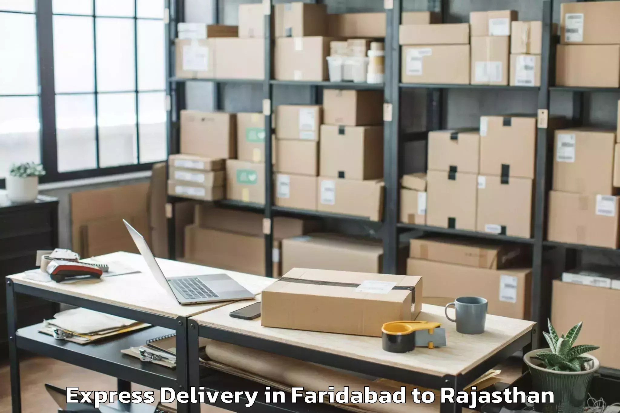 Trusted Faridabad to Rajsamand Express Delivery